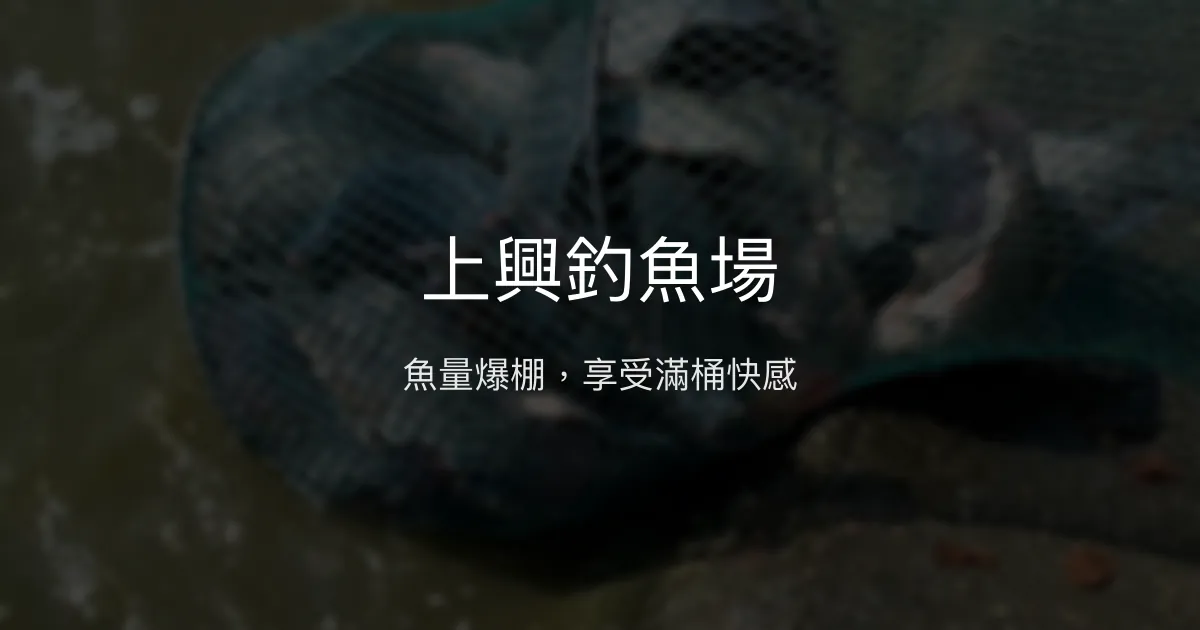 上興釣魚場評價、營業時間、價格、魚種 - 魚量充足的優質釣場